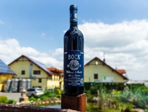 Bock Merlot Special Reserve Vinagora aranyérem