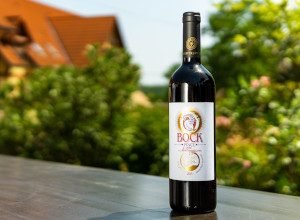 bock-vinagora-aranyerem