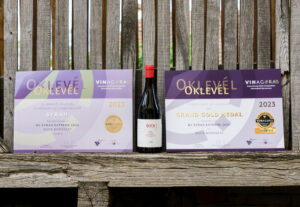Bock BV Syrah Extréme