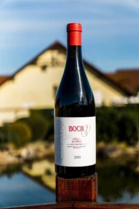 bv-syra-extreme-2020