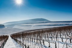 vince-nap-havas-szoloterulet